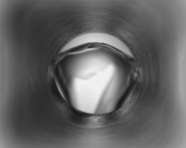 X0000088430172200706121457