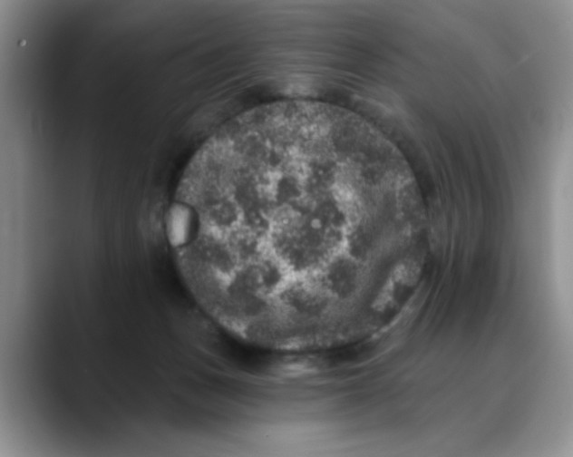 X0000088430175200706121457