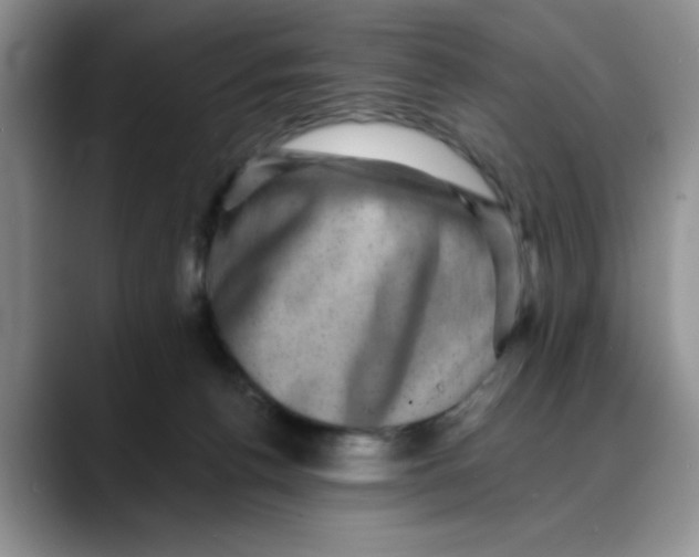 X0000088430176200706121457