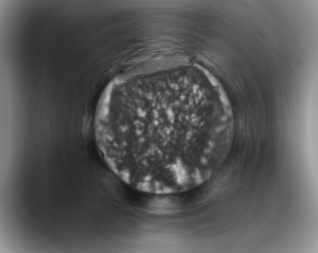 X0000088430177200706121457