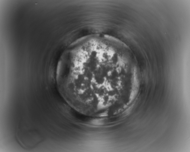 X0000088430178200706121457