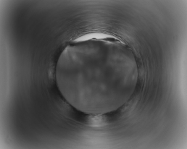 X0000088430181200706121457