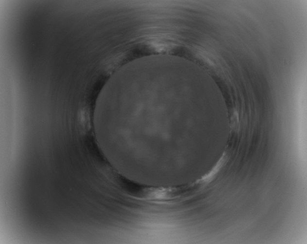 X0000088430182200706121457