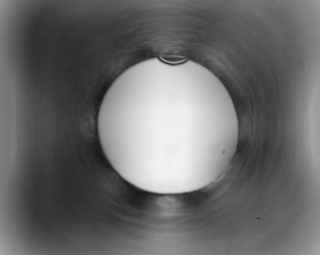 X0000088430183200706121457