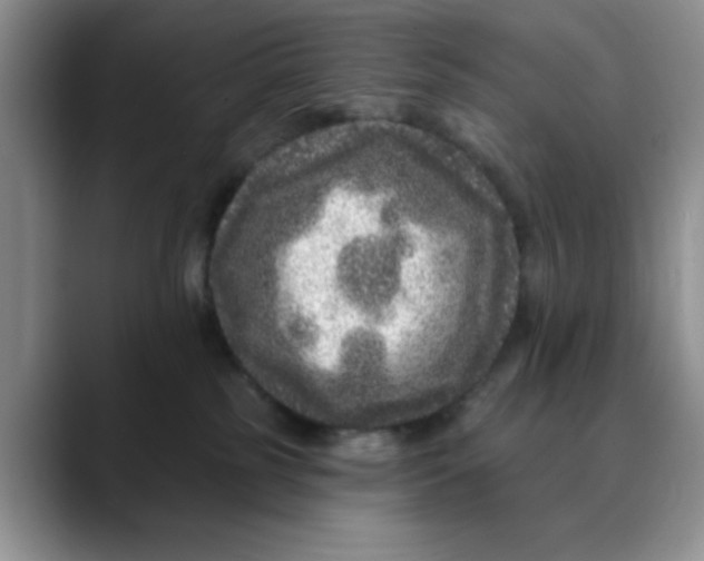 X0000088430185200706121457