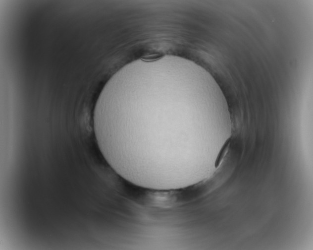 X0000088430187200706121457