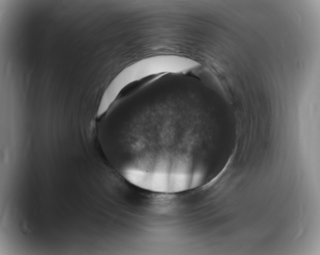 X0000088430192200706121457