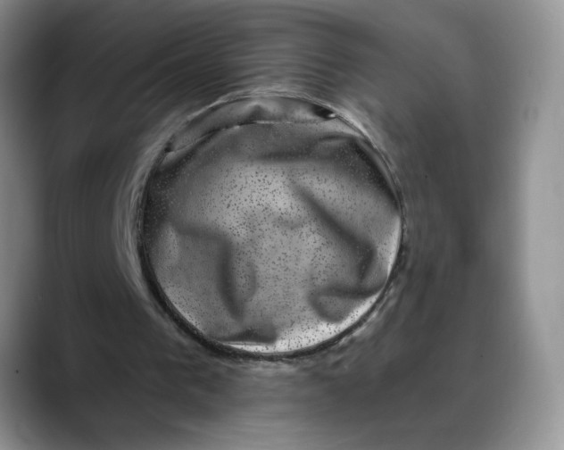 X0000088430193200706121457