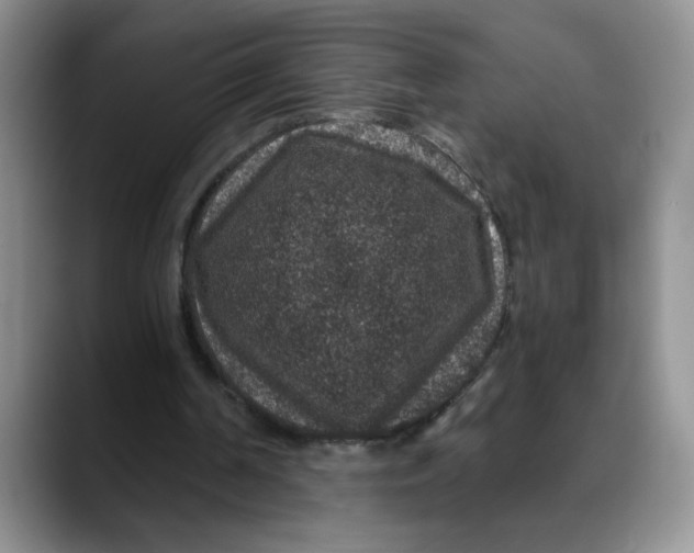 X0000088430194200706121457