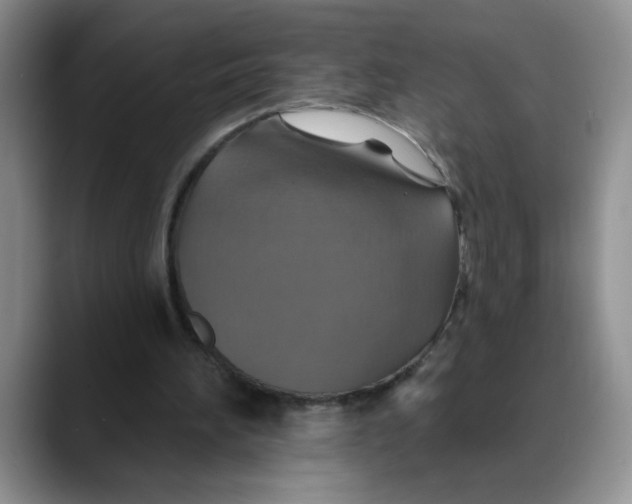 X0000088430196200706121457