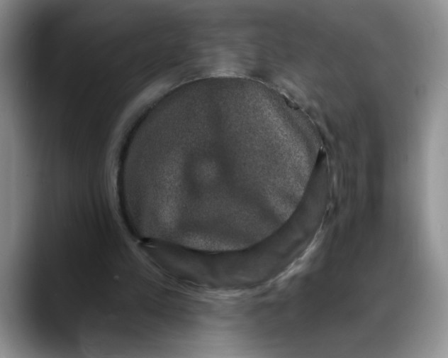 X0000088430197200706121457