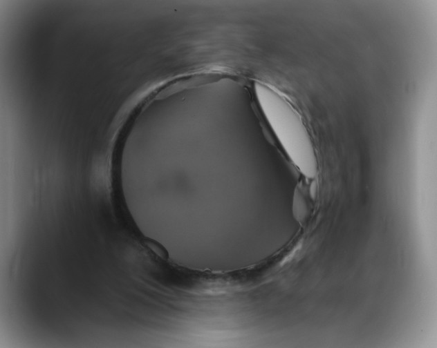 X0000088430200200706121457