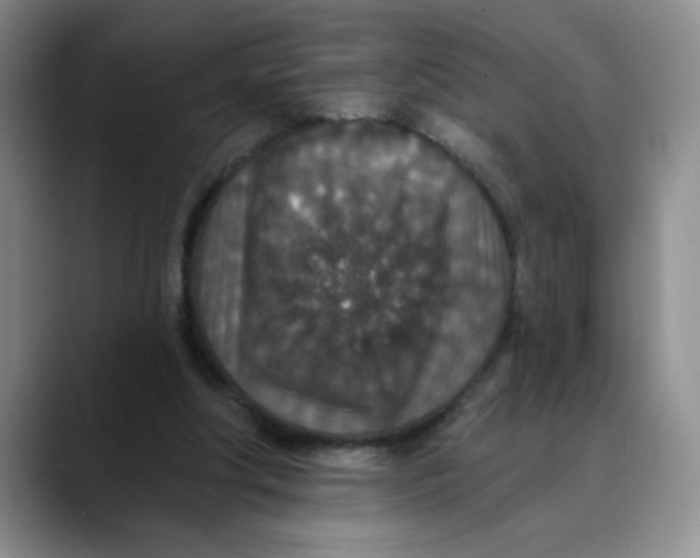 X0000088430202200706121457