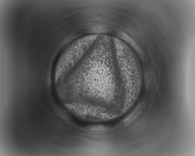 X0000088430203200706121457