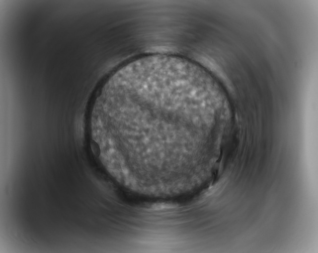 X0000088430204200706121457