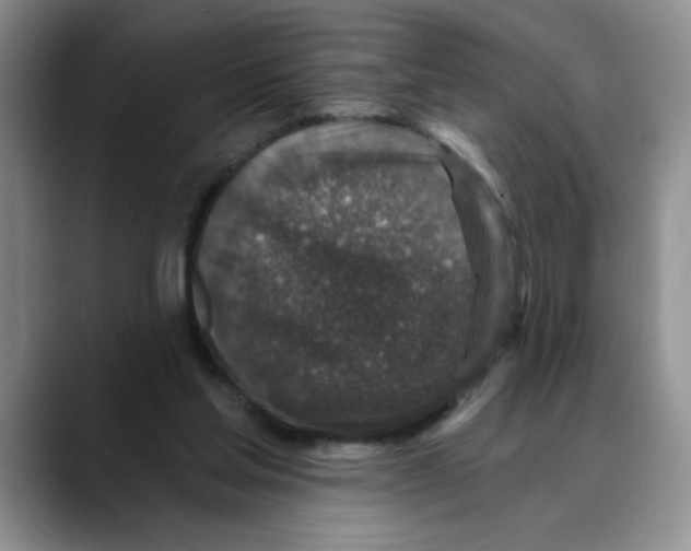 X0000088430205200706121457