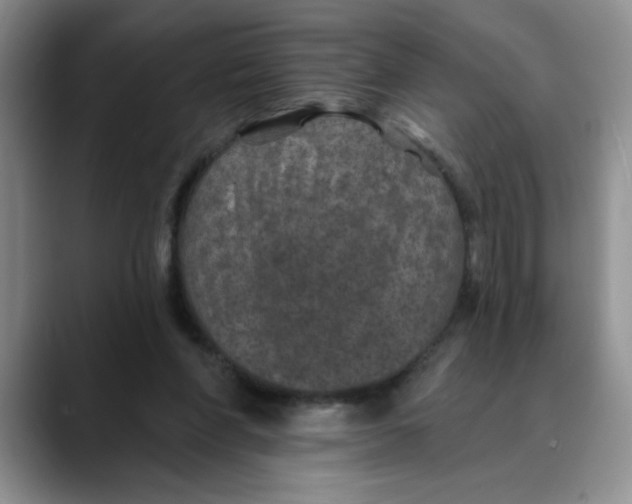 X0000088430206200706121457