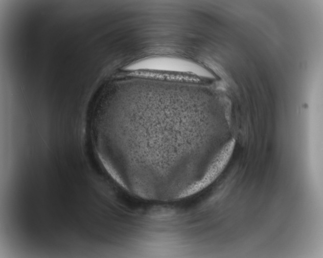 X0000088430207200706121456