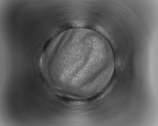 X0000088430209200706121456