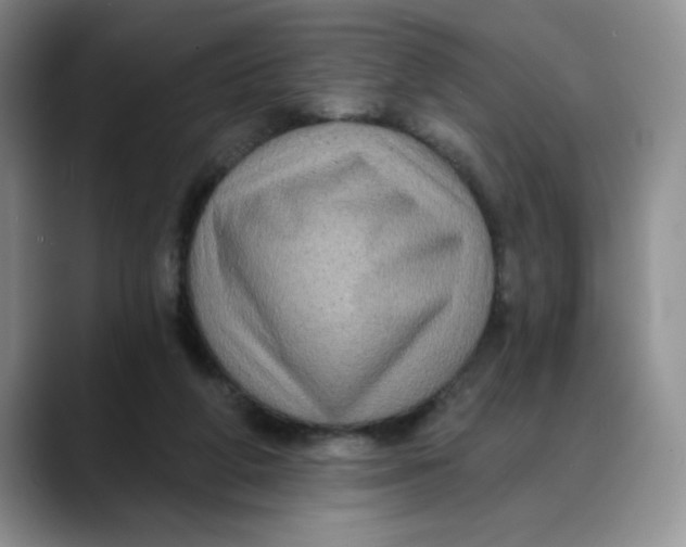 X0000088430210200706121456