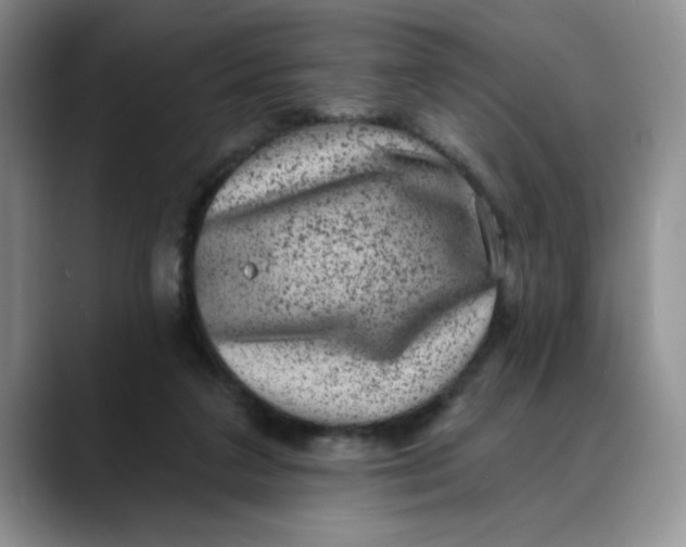 X0000088430211200706121456