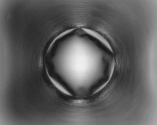 X0000088430212200706121456