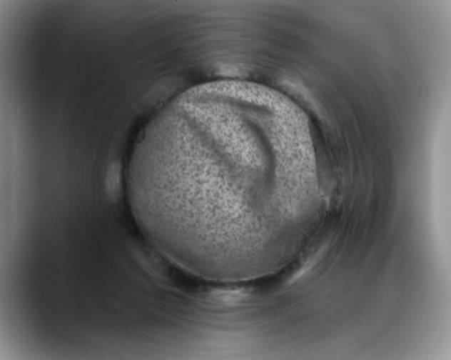 X0000088430213200706121456