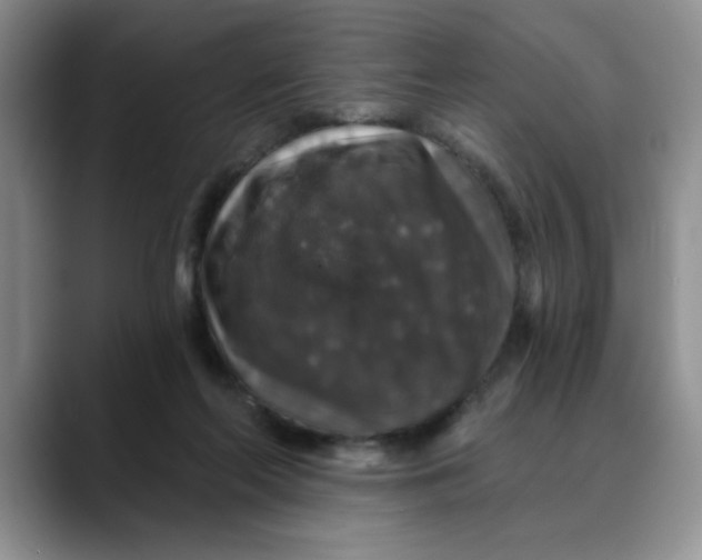 X0000088430214200706121456