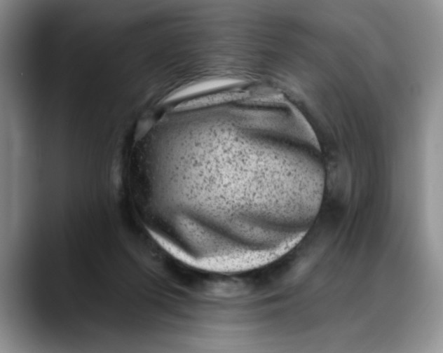 X0000088430215200706121456