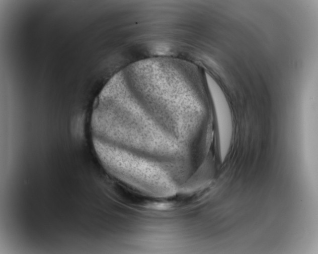 X0000088430217200706121456