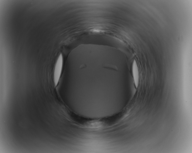 X0000088430219200706121456