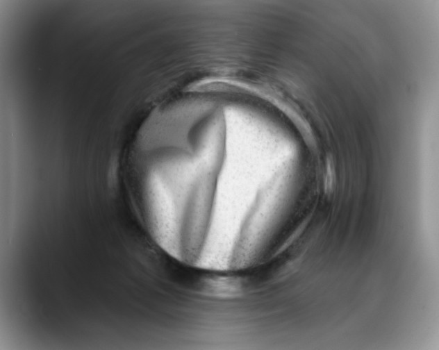 X0000088430221200706121456