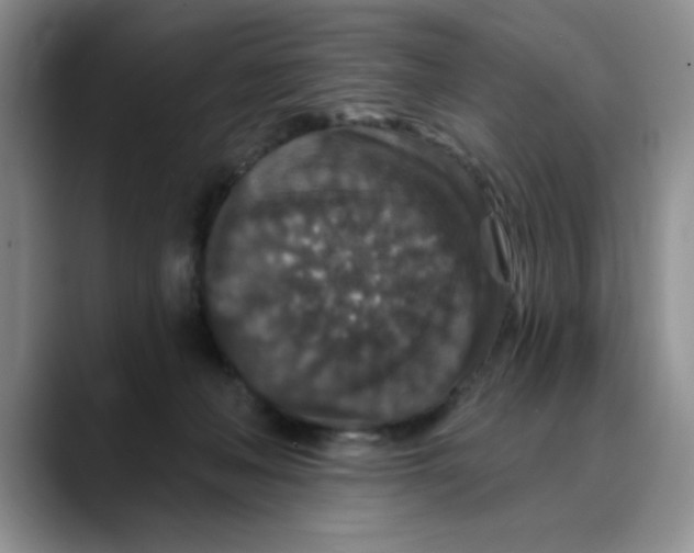 X0000088430222200706121456