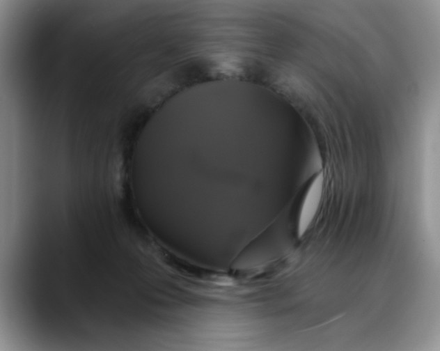 X0000088430223200706121456