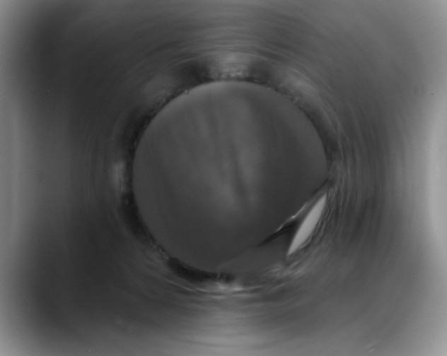 X0000088430224200706121456