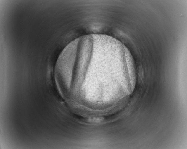 X0000088430225200706121456