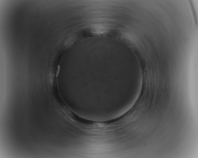 X0000088430227200706121456