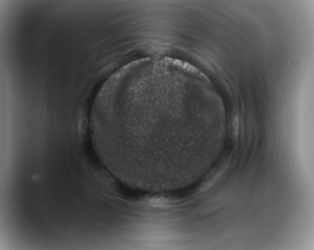 X0000088430228200706121456