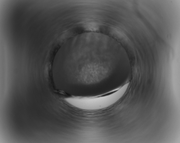 X0000088430229200706121456