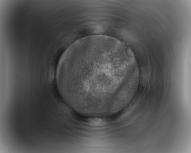 X0000088430230200706121456