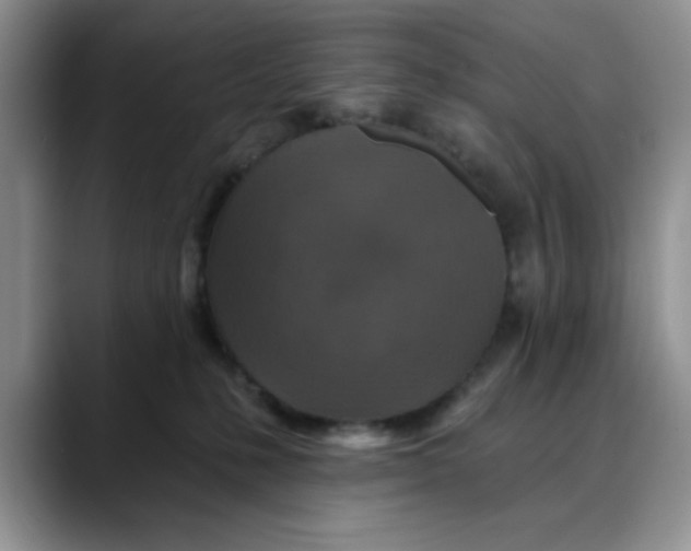 X0000088430231200706121456