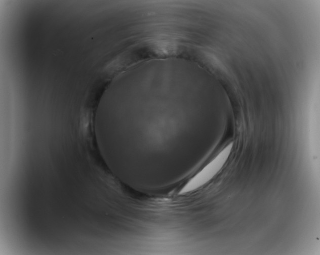 X0000088430233200706121456