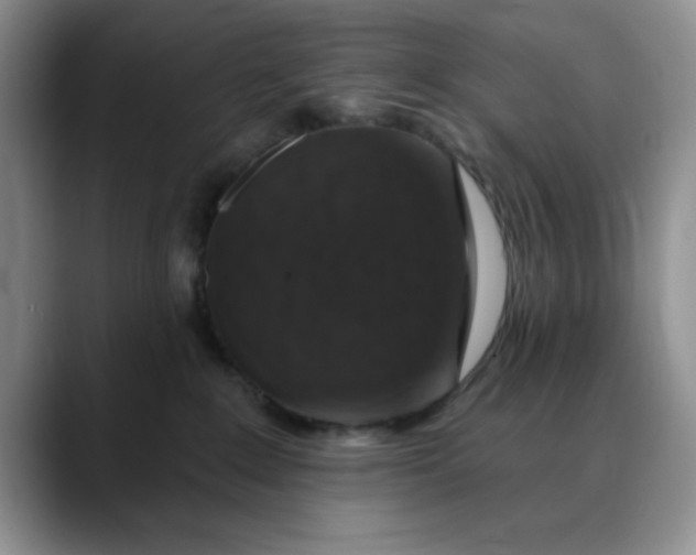 X0000088430235200706121456