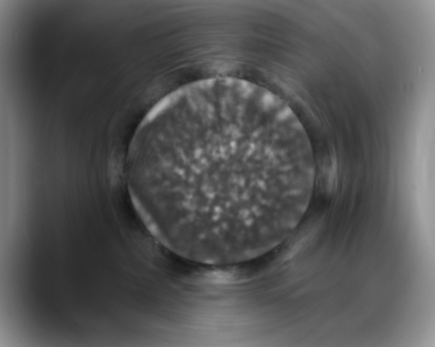 X0000088430236200706121456