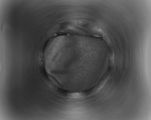 X0000088430237200706121456