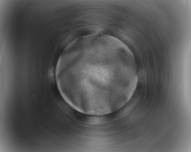 X0000088430238200706121456