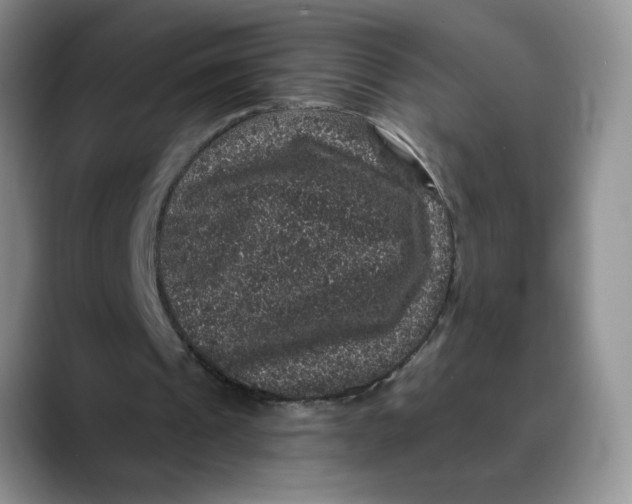 X0000088430241200706121456