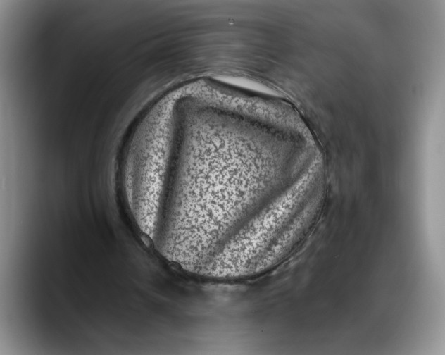 X0000088430242200706121456