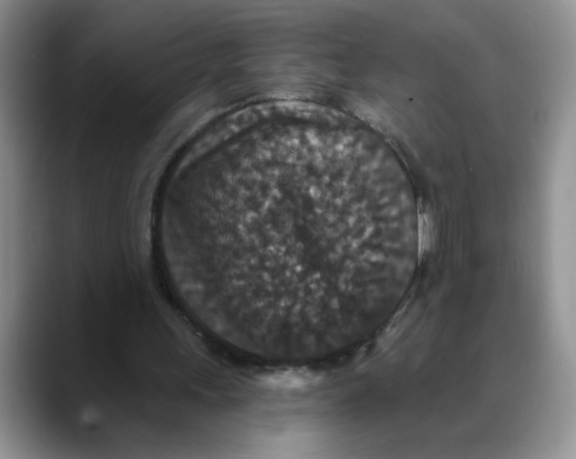 X0000088430243200706121456