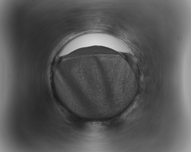 X0000088430244200706121456